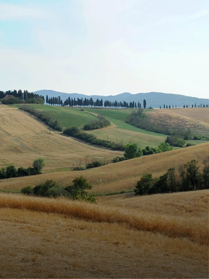 La toscana