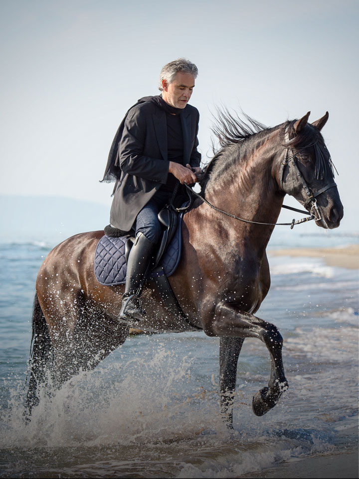I Cavalli